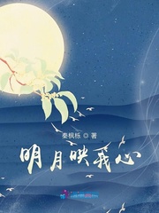 小说：明月映我心，作者：秦枫栎